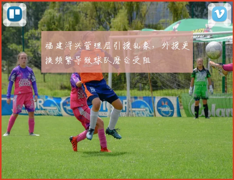 福建浔兴管理层引援乱象，外援更换频繁导致球队磨合受阻
